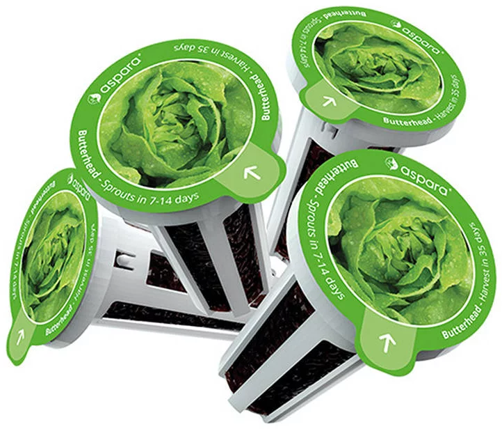 Levně Sazenice Seed kit pack aspara by GrowGreen - lettuce (4897073820668)