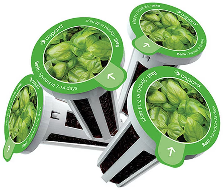 Sadenice Seed kit pack aspara by GrowGreen - basil (4897073820682)
